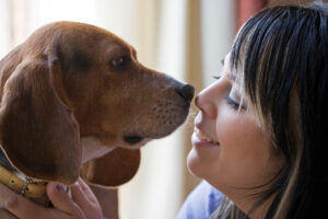 Smiling woman touching noses with her beagle dog in a cozy home setting.